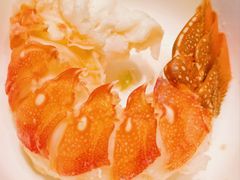 鲜活小青龙-东海怡品海鲜豆捞(舟宿夜江店)