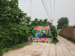 -大自然农场蔬菜草莓采摘园