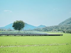 -风云岭森林公园