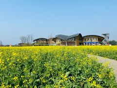 -中国天府农业博览园