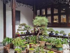 -我嘉书房(南翔名士居店)