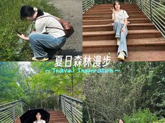 -莲花山公园