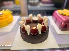 -新加坡乌节希尔顿酒店 (SG Clean)
