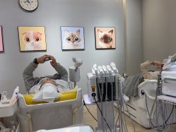 -洗脸猫·洗脸吧