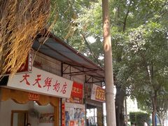 -黄埔古港