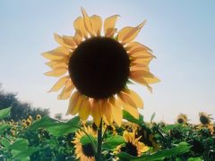 -映月湖中央公园