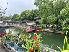 -乌镇东栅景区