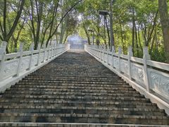 -老君山