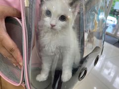 -美联众合动物医院·24h京西诊疗中心
