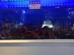 iphone_upload_pic-金苑海鲜酒家(来魅力店)
