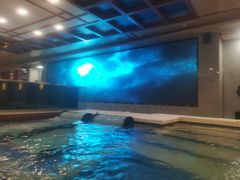 -碧中海汤泉汗蒸酒店