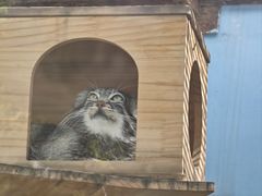 -青藏高原野生动物园
