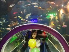 -石家庄海洋公园