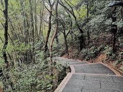-广州市白云山风景名胜区