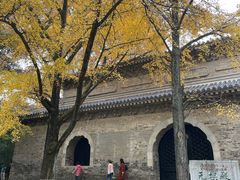 -灵谷景区