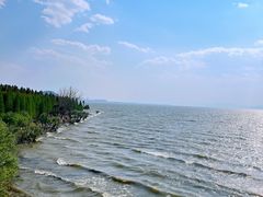 -捞渔河湿地公园