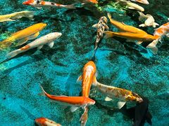 -长沙海底世界