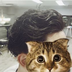 -MY HAIR ARDOR