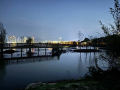 -洱海月湿地公园