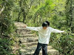 -天目山大树王景区