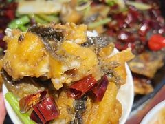 -老板恋上鱼(环山路店)