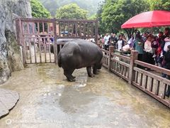 -贵州森林野生动物园