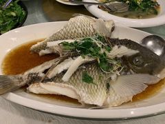 -镇发活海鲜(Clementi)