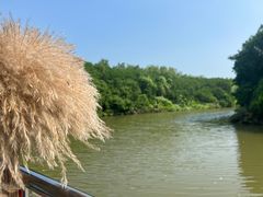 -大湾区中央湿地公园