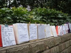 -人民公园-相亲角