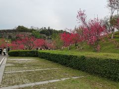 -重庆园博园