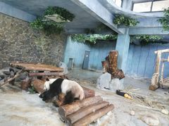 -海南热带野生动植物园