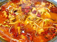 -美蛙四季(六里桥店)