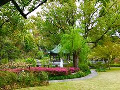 -申粤轩酒楼·三十年粤菜经典(丁香花园店)