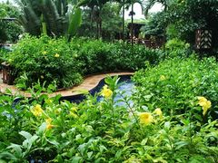 环礁泳池放内看泳池-三亚亚龙湾红树林度假酒店