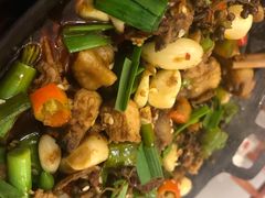 鸡汤羊肚菌-山间农家