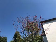 -乌山风景区