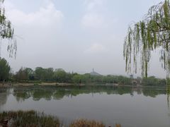 -北坞公园