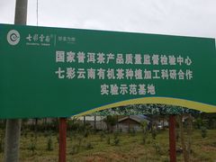 -七彩云南茶(七彩云南第壹城店)