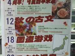 -樱花国际日语(徐家汇中心)