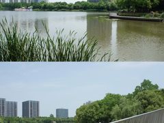 -南翔镇银翔湖公园