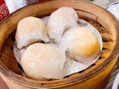 虾饺-捷信牛奶甜品世家(五道口店)