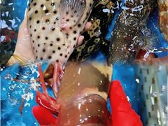 -四川小胡子海鲜(丁村万人海鲜广场店)