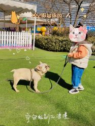 -萌宠亲子动物乐园(槐房万达店)