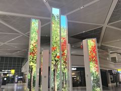 -纽瓦克自由国际机场