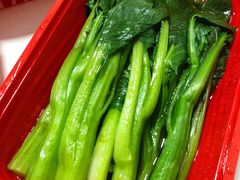 -九毛九西北菜(百信广场店)