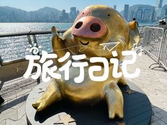 -星光大道