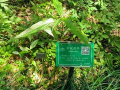 -杭州植物园