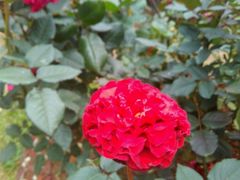 -人民公园(罗湖区)