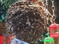 -王婆炒鱼(总店)