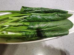 菠菜-海底捞火锅(吾悦广场店)